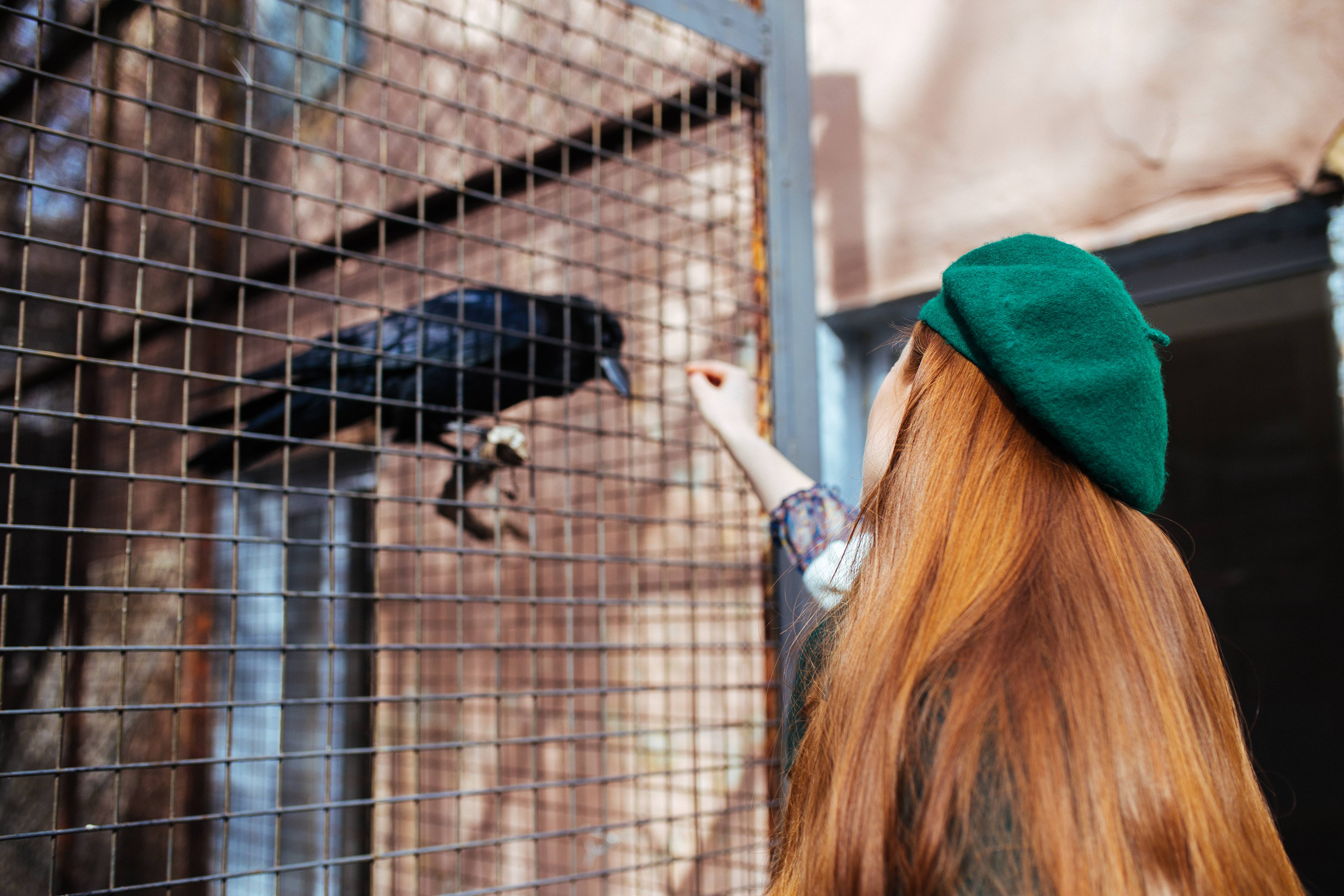 Yuliya Bevzenko менеджер киева