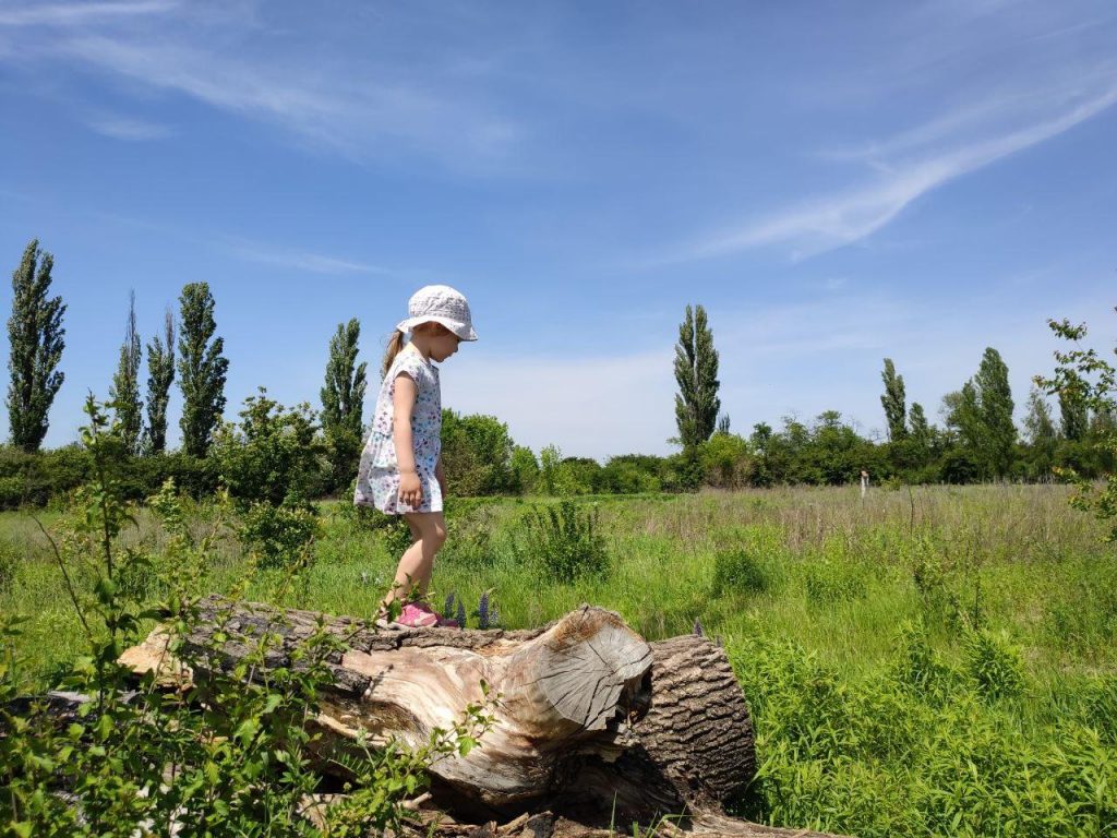 lyupinovie polya kiev