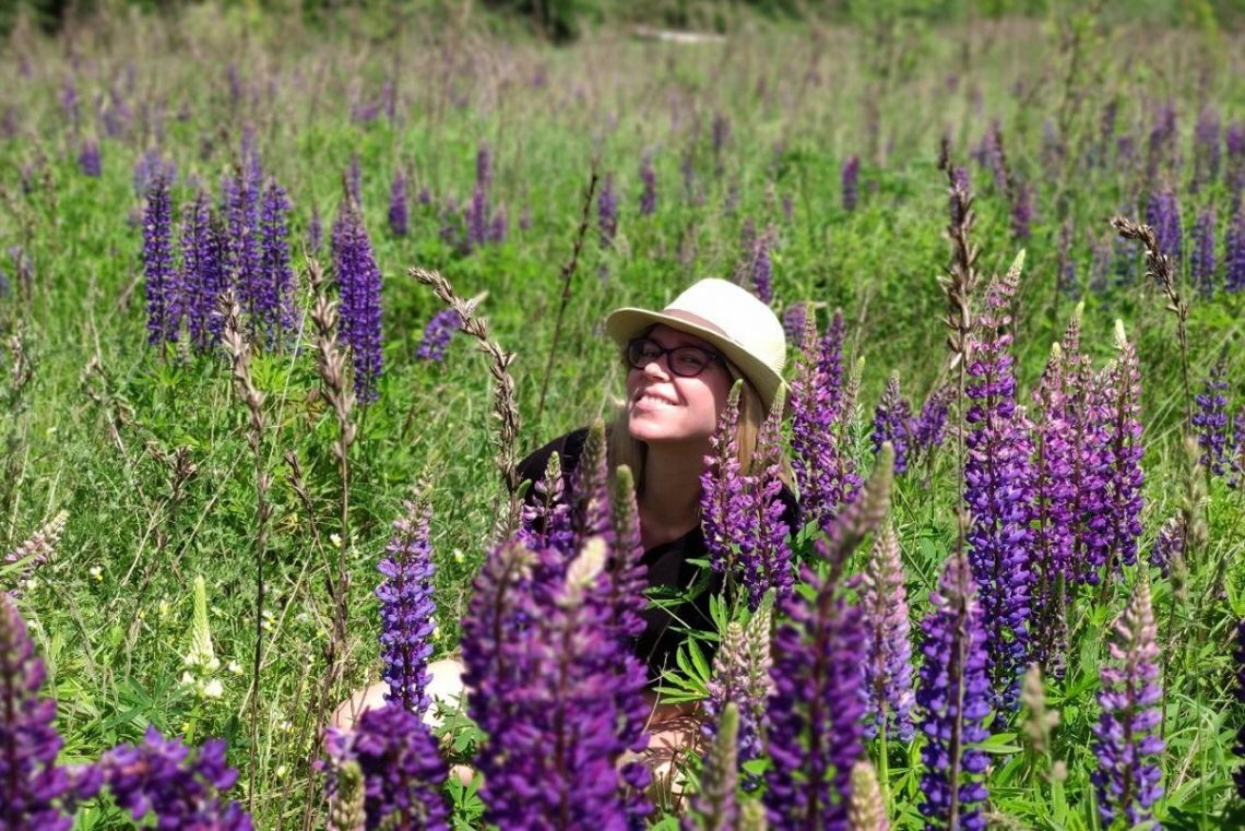 lyupinovie polya kiev