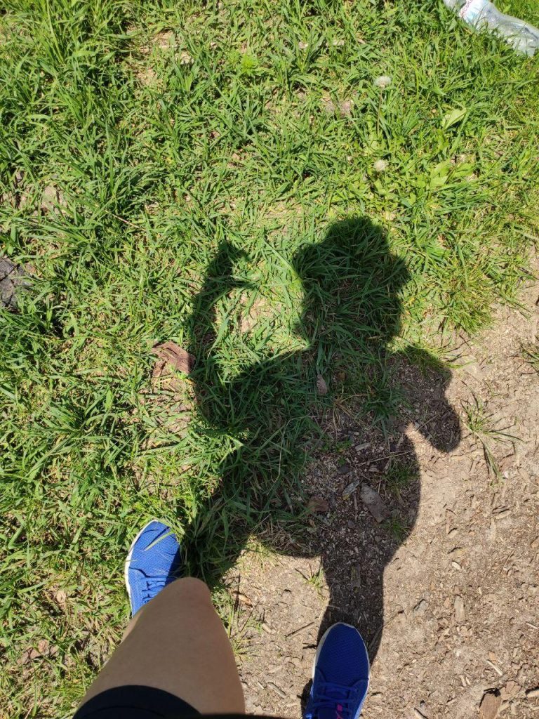 lyupinovie polya kiev